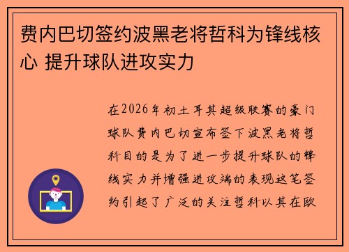 费内巴切签约波黑老将哲科为锋线核心 提升球队进攻实力 费内巴切签约波黑老将哲科为锋线核心 提升球队进攻实力